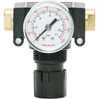 MODULAIR 200 Acetal Piston Regulator, 1/4" NPT, 150 PSI Max. PSI, In Line/Modular O-Max