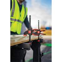 Medium Trigger Clamps Set, 12" (304.8 mm) O-Max