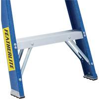Industrial Duty Stepladders (6300 Series), 4', Fibreglass, 250 lbs. Capacity, Type 1 O-Max