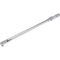 Cl&eacute; dynamom&eacute;trique microm&eacute;trique &agrave; t&ecirc;te fixe, &agrave; cliquer, Entraînement 1/2" carr&eacute;, 50-250 lb-pi O-Max