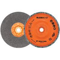 Blendex U™ Finishing Cup Disc, 5" Dia., Fine Grit, Silicon Carbide VV859 | O-Max