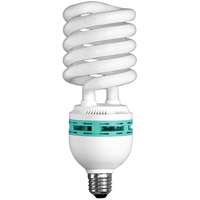 Ampoules pour lampe de travail Hang-A-Light<sup>MD</sup>, 105 W XC755 | O-Max