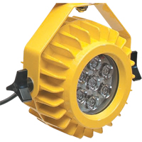 Lampe robuste DEL pour les quais - t&ecirc;te seulement O-Max