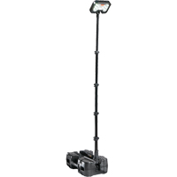 9490 Remote Area Lighting Systems, LED, 53.3 W, 6000 Lumens, Plastic Housing O-Max
