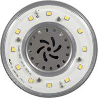 Lampe haute luminosité Ultra LED<sup>MC</sup>, DHI, 36 W, 4800 lumens, base Mogul XI556 | O-Max