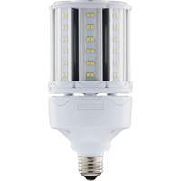 Ampoule HID de remplacement sélectionnable ULTRA LED<sup>MC</sup>, E26, 18 W, 2700 lumens XJ275 | O-Max
